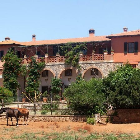 Agriturismo Grazia ออร์เบเตลโล ภายนอก รูปภาพ