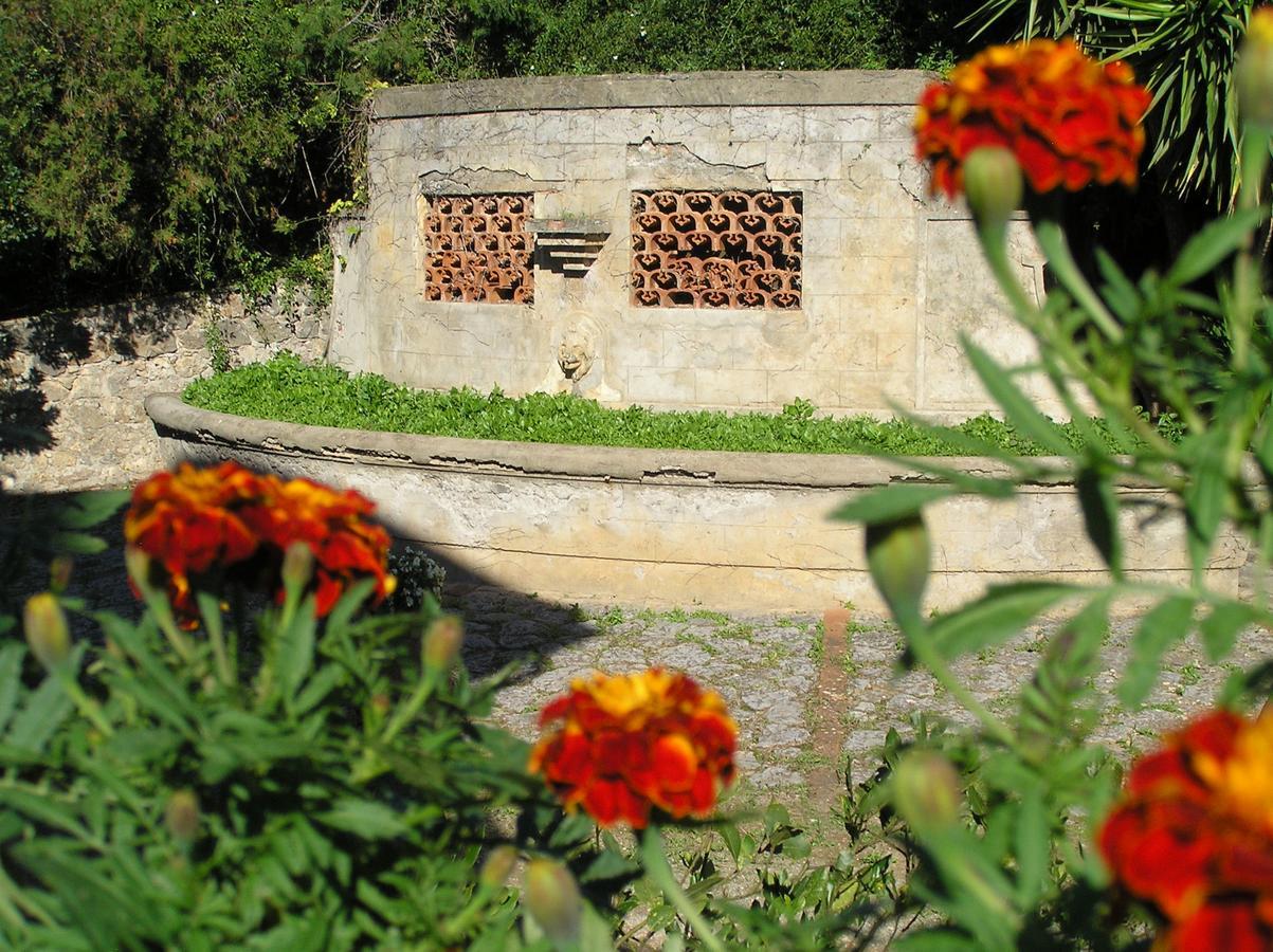 Agriturismo Grazia ออร์เบเตลโล ภายนอก รูปภาพ