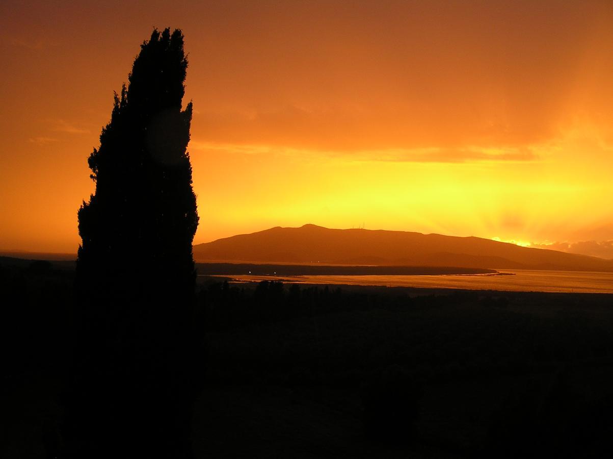 Agriturismo Grazia ออร์เบเตลโล ภายนอก รูปภาพ
