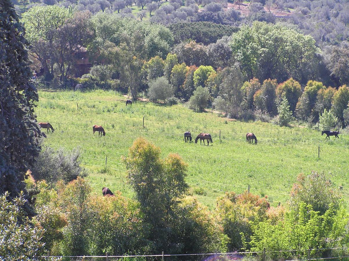 Agriturismo Grazia ออร์เบเตลโล ภายนอก รูปภาพ